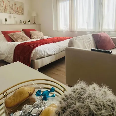 Appartement Le Boudoir Bethunois - Centre - Confort *